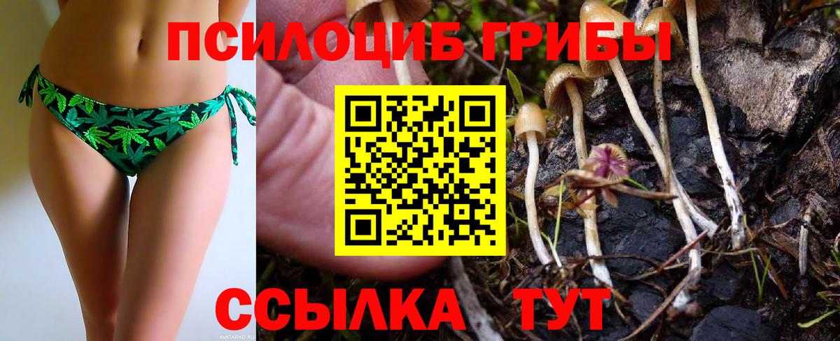 Галлюциногенные грибы прущие грибы Новый Уренгой